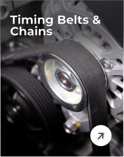 Timing Belts & Chains