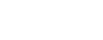 Timing Belts & Chains 